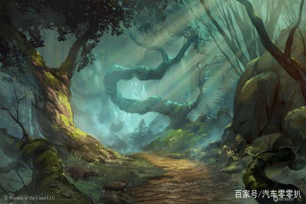 《宝可梦大集结》坚盾剑怪的技能搭配与使用技巧